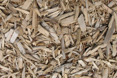 biomass boilers Skipsea